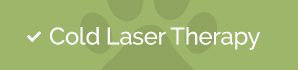 Cold Laser Therapy, Northgate Veterinary Clinic | Seattle Speciality & Emergency Vet